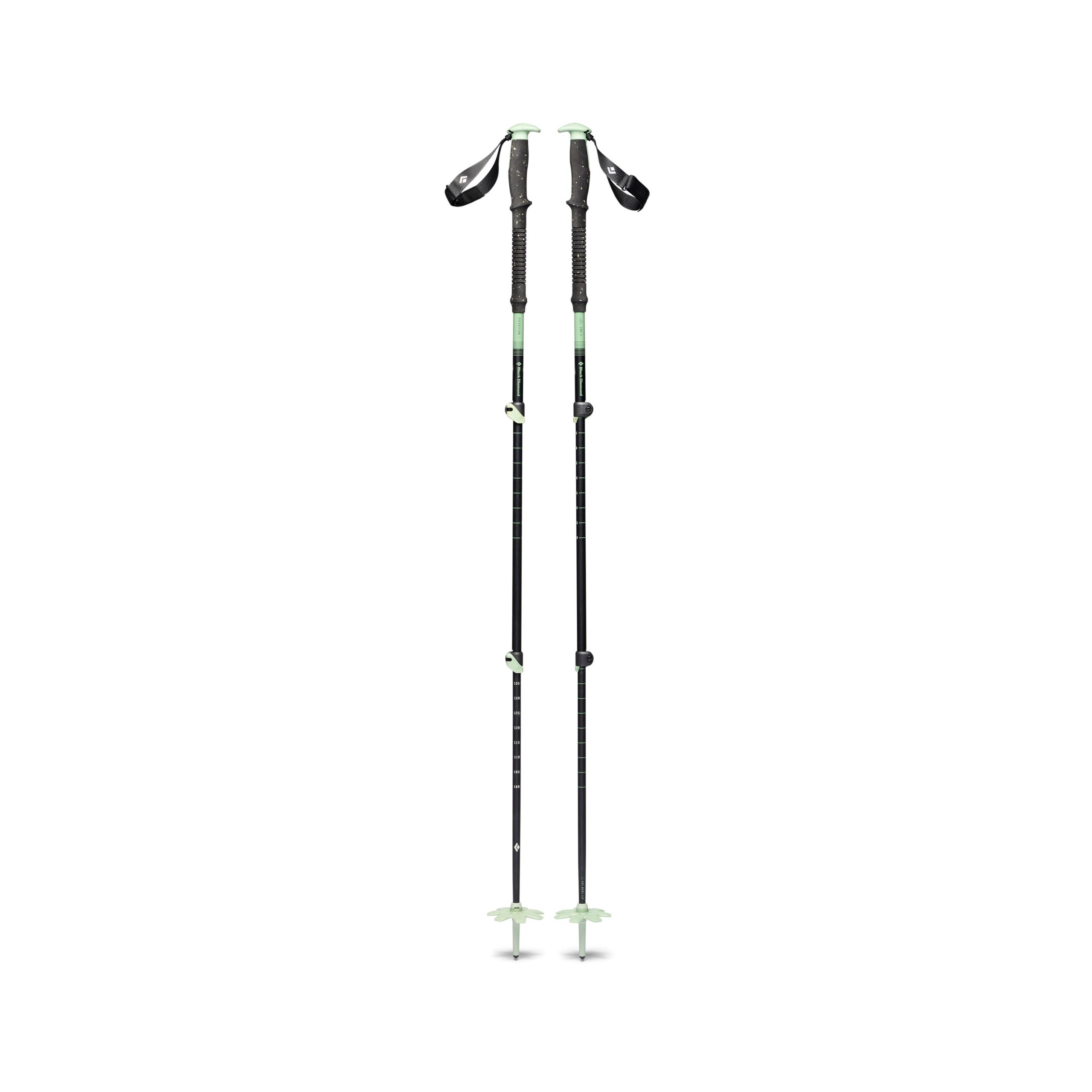Expedition 3 Ski Poles