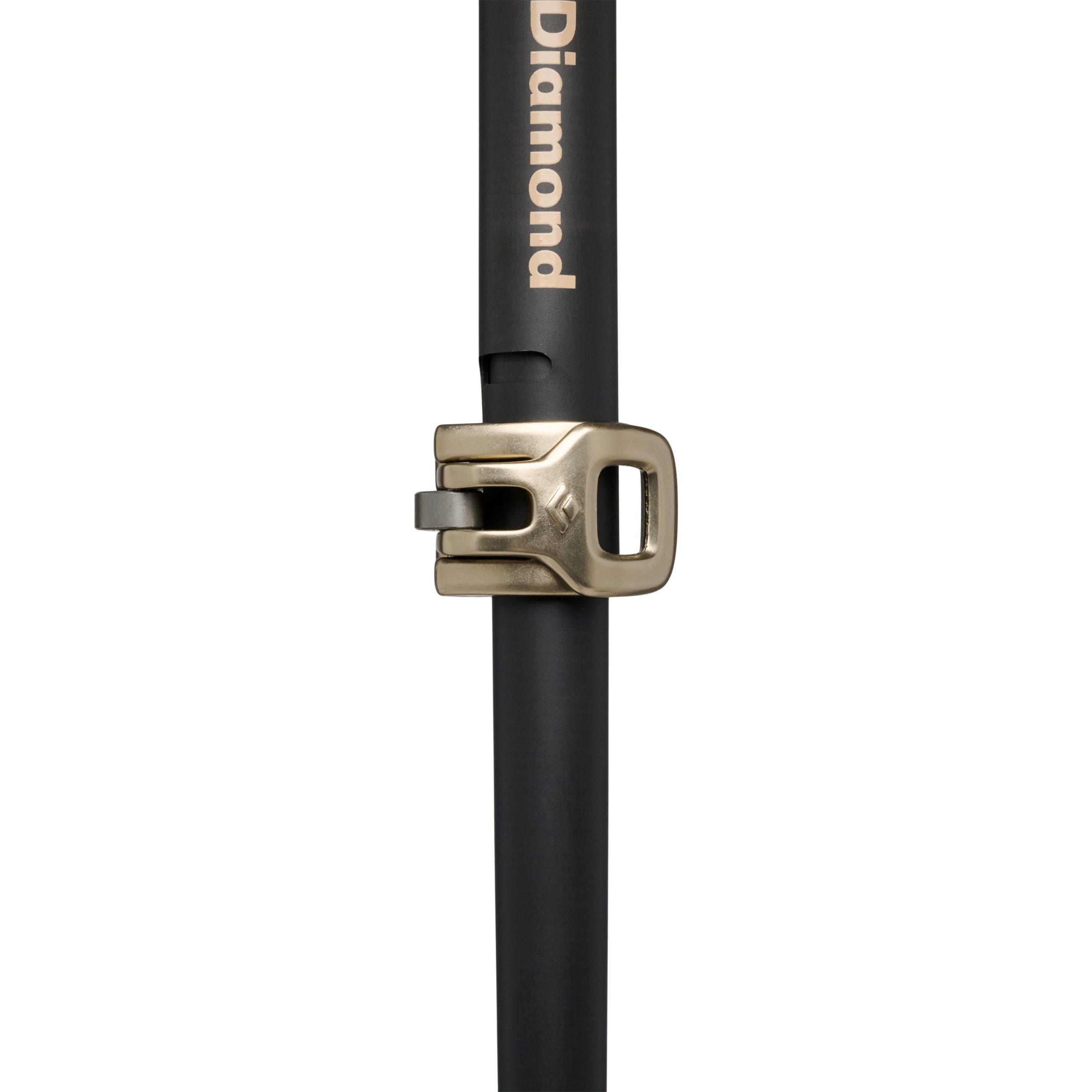 Expedition Carbon Pro Ski Poles - Image 4